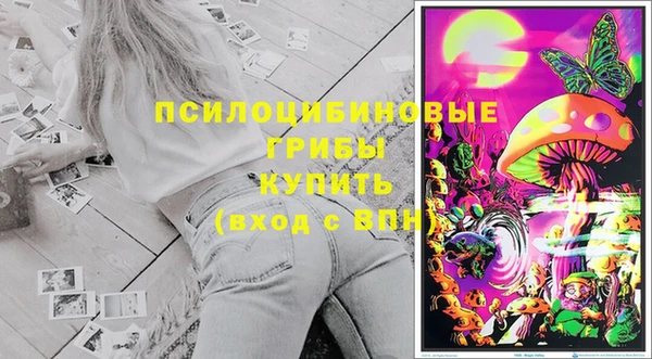 хмурый Костерёво