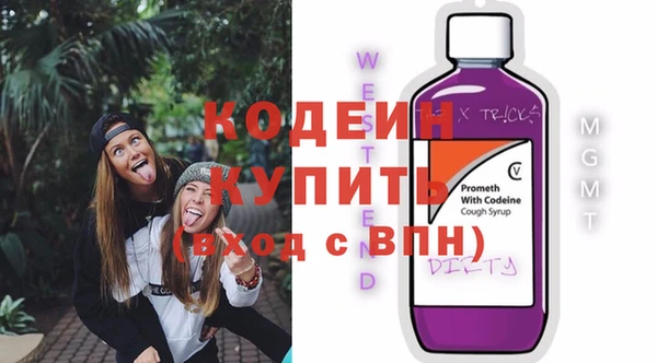 гашик Козельск