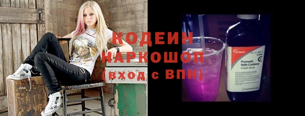 гашик Козельск