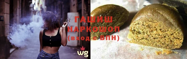 гашик Козельск