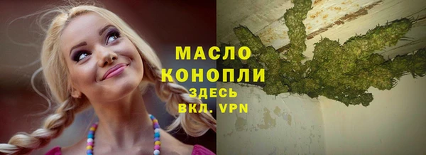 гашик Козельск
