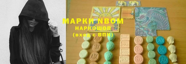 гашик Козельск
