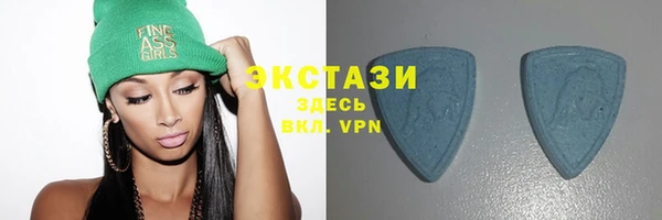 гашик Козельск