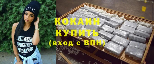 гашик Козельск