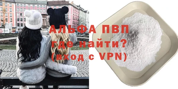 гашик Козельск
