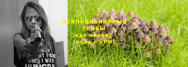 амф Кодинск