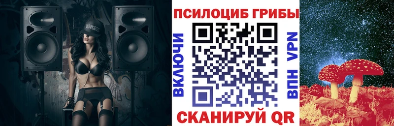 Купить  Богучар  Галлюциногенные грибы мицелий 